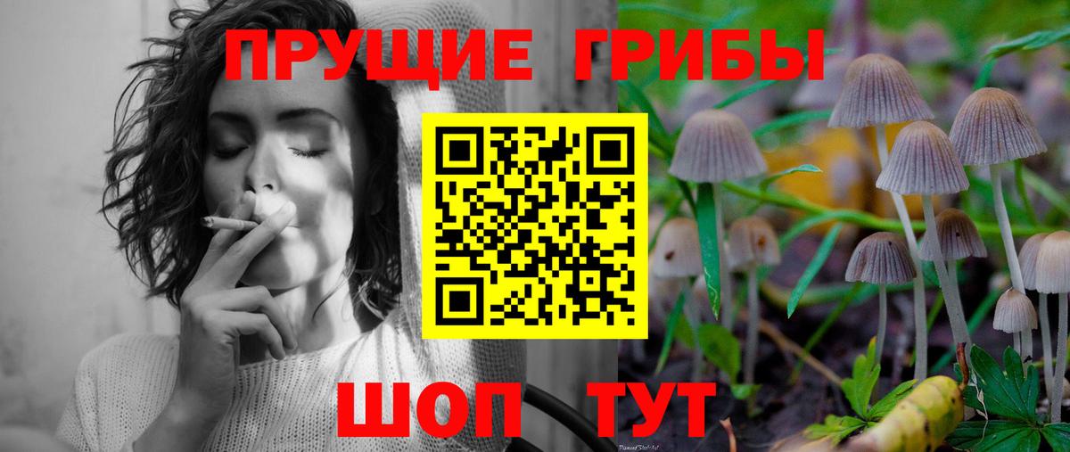 Псилоцибиновые грибы Magic Shrooms  Псилоцибиновые грибы GOLDEN TEACHER  Вход с VPN  Муравленко 